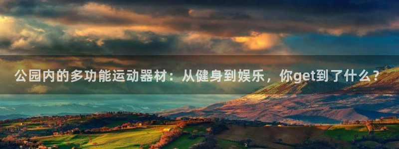 征途国际代理:公园内的多功能运动器材:从健身到娱乐,你get