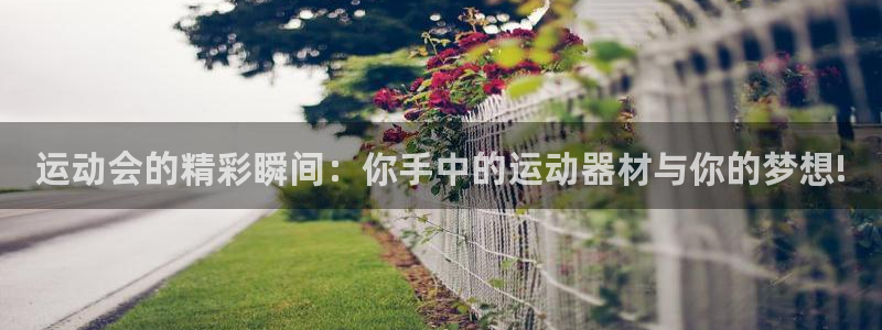 征途国际招商电话号码是多少啊:运动会的精彩瞬间:你手中的运动
