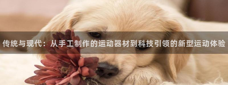 征途国际招商电话地址查询:传统与现代:从手工制作的运动器材到